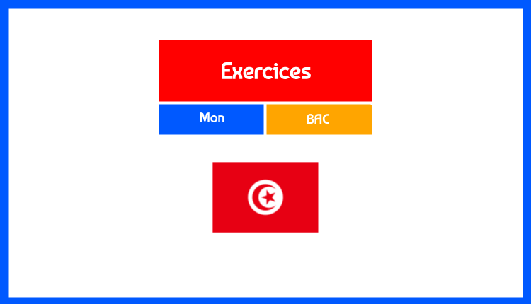 Exercices Primitives Bac Technique en Tunisie